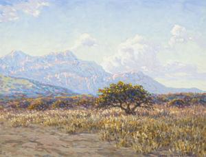 BLATT Johannes,Sunlit South West African Landscape Savannah Plain,1945,Strauss Co. 2023-05-08