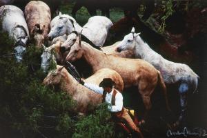 BLUM Dieter 1936,Cowboy and Horses,1992,Schloss DE 2021-05-14