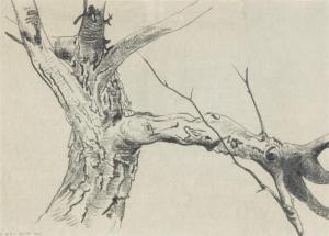 BLUME Peter 1906-1992,Study for Tree (For Winter #85),1963,Hindman US 2024-01-25