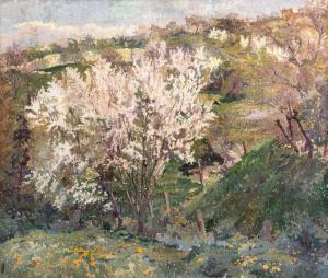 BOEMM Ritta 1868-1948,Blooming hillside,Nagyhazi galeria HU 2023-12-12