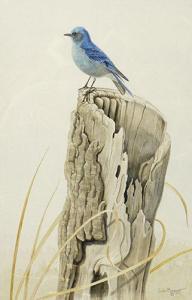 BOGAERT Ludo 1936,The Old Stump (Mountain Bluebird),1974,Lando Art Auction CA 2013-02-24