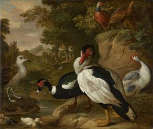 BOGDANI Jacob 1658-1724,Partridges, muskovy ducks, a juvenile herring gull,Sotheby's GB 2024-04-10