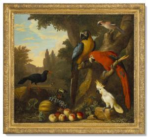 BOGDANI Jacob 1658-1724,Two macaws, a cockatoo, a red-billed chough and ot,Christie's GB 2021-07-09