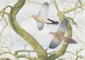 BOHL Walter E. 1907-1990,Mourning Doves,1947,Copley US 2022-07-15