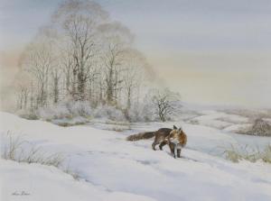 BOLAN Sean 1948,A fox in a winter landscape,Woolley & Wallis GB 2017-06-07