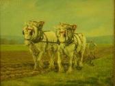 BOLDON D 1900-1900,Shires ploughing,Peter Francis GB 2012-01-31