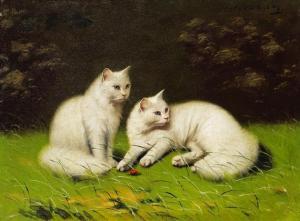 boleradszky Benno 1885-1957,Zwei weiße Katzen,Ketterer DE 2008-10-24