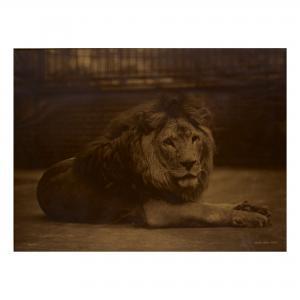 BOLTON Gambier 1854-1929,MAJESTY,1890,Sotheby's GB 2019-10-03