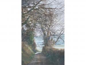 BOLTON R.H,Tree canopied country lane,Capes Dunn GB 2014-03-25