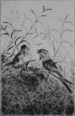 BONANO Carman,Two Birds,Rachel Davis US 2009-03-21