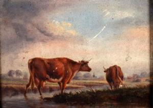 BOND J,Cattle,David Lay GB 2014-11-06