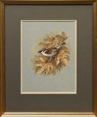 BOND Terence James 1946,a sparrow perched on a branch,Reeman Dansie GB 2013-07-30