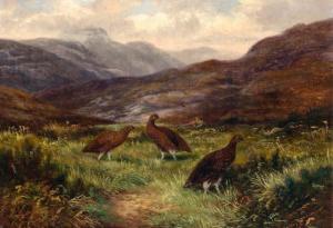 BONNEFOY Henri Arthur 1839-1917,Grouse in a Moor,William Doyle US 2019-02-13