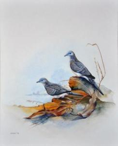 BOOT Jeremy 1948,Wild Doves,1978,Elder Fine Art AU 2011-09-25