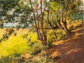 BORNEMISZA Geza 1884-1966,Sunny forest view,Nagyhazi galeria HU 2023-12-12