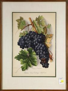 BOSQUI Edward 1832-1917,California Burgundy, Italian Swiss Colony, Asti,,1877,Clars Auction Gallery 2018-08-11