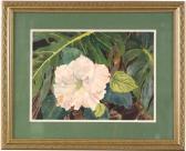 BOTKE Jessie Arms 1883-1971,Flower and Leaves,California Auctioneers US 2016-10-09