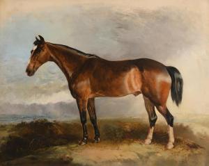 BOTT R.T 1810-1865,A Favourite Hunter,1856,Morgan O'Driscoll IE 2021-09-13