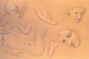 BOTTANI Giuseppe 1717-1784,Studio anatomico,Dams Casa d'Aste IT 2024-02-22