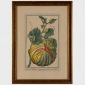 BOUCHARD MADDALENA 1772-1793,Fruits and Vegetables: Four Plates,Stair Galleries US 2024-01-23