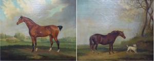 BOULT Augustus S 1815-1853,Study of a bay horse in a landscape,Tennant's GB 2016-11-25