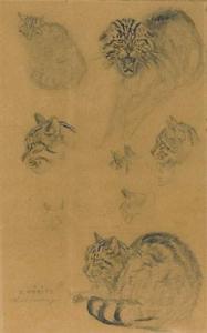 BOURDEAU Edouard Marie 1900-1900,De chats sauvages»,Coutau-Begarie FR 2008-05-19