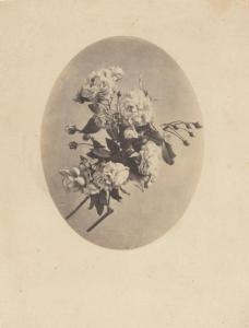 BOUSSENOT Tony 1800-1800,Etudes de fleurs,1860,Millon & Associés FR 2012-03-06