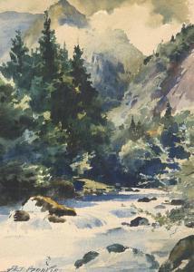 BOUVIER Paul 1857-1940,Ruisseau de Montagne,Dogny Auction CH 2016-06-14