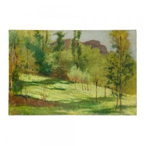 BOUVIER Pietro 1839-1927,PAESAGGIO,Fondaco Auctions IT 2022-03-31