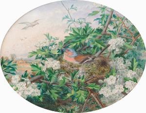 BOWDEN W.J 1800-1800,A Chaffinch nesting in Apple Blossom,Bonhams GB 2003-05-21