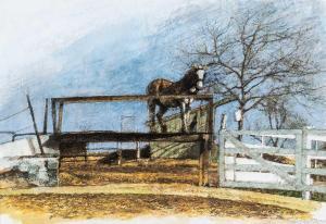BOWEN Keith 1950,Amish Horse on Farmyard Deck,Rogers Jones & Co GB 2023-10-31