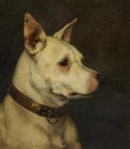 BOWEN Ralph 1800-1800,Study of a bull terrier,Sworders GB 2020-10-06