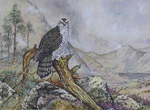 BOWLES Ian 1947-2018,Osprey in a landscape,Gorringes GB 2022-08-29