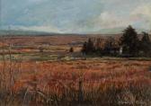 BOYD Diarmuid 1951,THE CORNFIELD,Ross's Auctioneers and values IE 2013-10-09