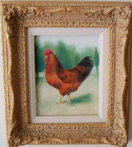 BOYD Janet Emma,PASTEL ROOSTER PAINTING,Four Season US 2008-09-07
