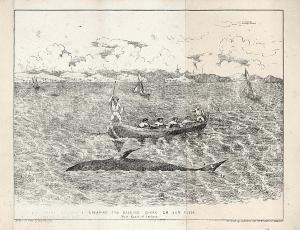 BRABAZON WALLOP,The Deep Sea and Coast Fisheries of Ireland, with ,1848,Bonhams GB 2007-10-09