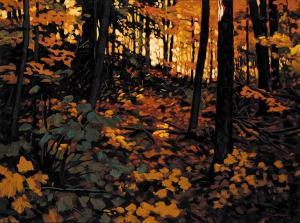 BRACEGIRDLE Larry 1949,A Light in the Forest,1998,Levis CA 2009-11-16