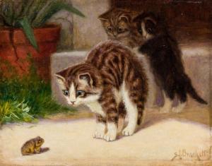 BRACKETT Sydney Lawrence 1852-1910,Three Kittens and a Frog,Shannon's US 2016-01-14
