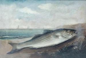 BRACKETT Walter M 1823-1919,Striped Bass,Copley US 2024-02-23