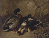 BRADLEY James 1800-1800,Ducks and ducklings,1853,Christie's GB 2004-06-10