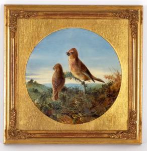 BRADLEY James 1800-1800,Finches in Gorse,Simon Chorley Art & Antiques GB 2019-09-17