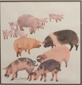 bradley liz 1951,Pigs,Mallams GB 2013-05-22