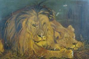 BRADSHAW J. Champion 1800-1900,A lion and lioness,1811,Dickins GB 2009-03-14