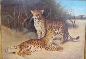 BRANDENBURG Machiel 1907,Deux léopards,Campo & Campo BE 2010-03-23