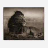 BRANDT Nick 1966,Lion Before Storm V,2006,Los Angeles Modern Auctions US 2025-07-31