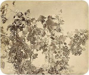 BRAUN Adolphe 1812-1877,Vine with black and white currants,Galerie Bassenge DE 2014-06-04