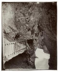 BRAUN,Gorges de Trient,1882,Binoche et Giquello FR 2017-05-17