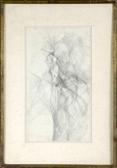 braverman s 1900-1900,Tree #2,Stair Galleries US 2010-03-12