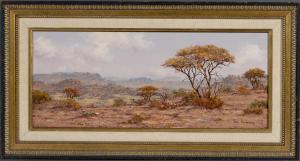 BREDENKAMP Henry 1935,arid landscape,Ashbey's ZA 2022-08-25