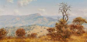 BREDENKAMP Henry 1935,Extensive Bushveld Landscape,1975,5th Avenue Auctioneers ZA 2022-04-24